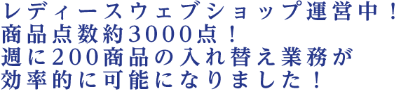 レディースウェブショップ運営中！商品点数約3000点！週に200商品の入れ替え業務が効率的に可能になりました！